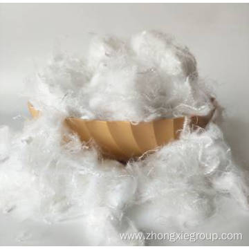 6D*51MM low melt bicomponent PET/PET fiber for nonwoven